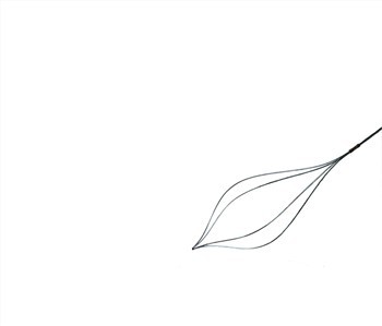 Zero Tip Pob Zeb Extraction Basket